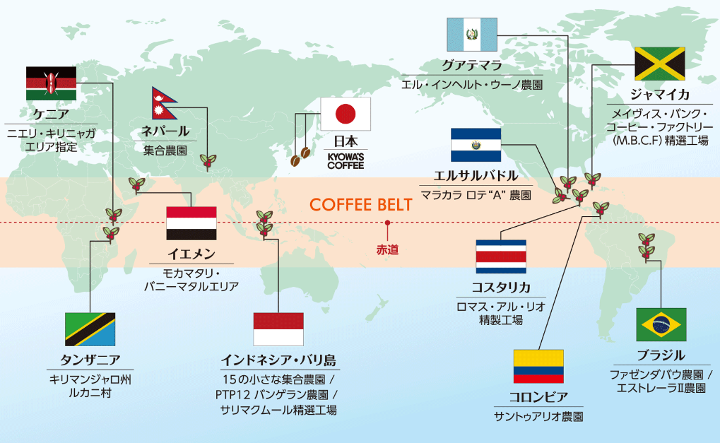 コーヒーの豆知識⑤コーヒーを栽培できる「コーヒーベルト」