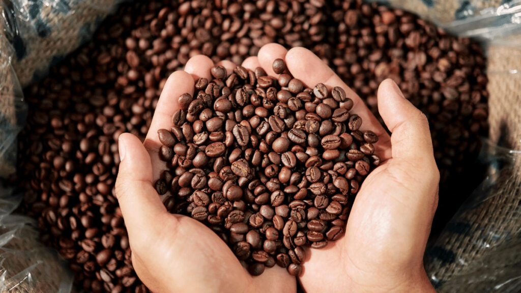 苦くないコーヒー豆や市販品のおすすめを紹介